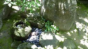 100721_104802.jpg 100721_104802.jpg